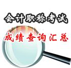 2013年會(huì)計(jì)職稱考試成績(jī)查詢時(shí)間及入口匯總