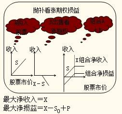 拋補看漲期權(quán) 