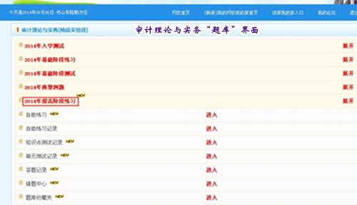 2014初級審計(jì)師《審計(jì)理論與實(shí)務(wù)》“我的題庫”界面