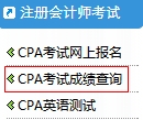 怎么查2014年的cpa成績