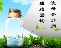 注冊(cè)會(huì)計(jì)師成績(jī)查詢時(shí)間