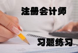 正保會計網(wǎng)校注冊會計師練習題精選