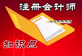 注冊會(huì)計(jì)師知識點(diǎn)