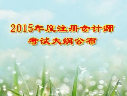 2015年度注冊會計師考試大綱公布