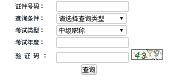 湖南2015中級(jí)會(huì)計(jì)職稱考試成績(jī)查詢?nèi)肟谝验_通