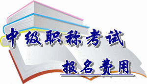 四川省2016年中級會計職稱考試報名費(fèi)用