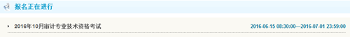 甘肅2016年中級審計師考試報名入口