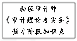 2017年初級審計師《審計理論與實務(wù)》預(yù)習(xí)階段知識點匯總