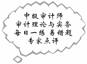 中級審計(jì)師《審計(jì)理論與實(shí)務(wù)》易錯題解析