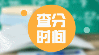 廣東省2017年稅務(wù)師考試成績(jī)查詢時(shí)間