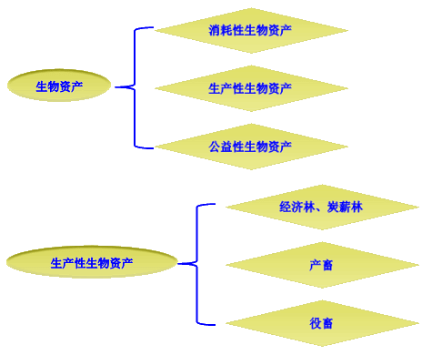 資產(chǎn)減值概述