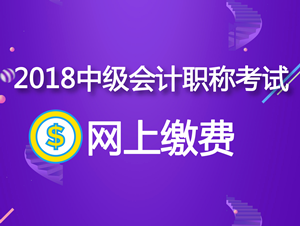 2018年廣西中級會計職稱考試網(wǎng)上繳費(fèi)每科56元