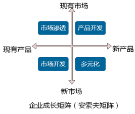 2018年《高級(jí)會(huì)計(jì)實(shí)務(wù)》知識(shí)點(diǎn)：企業(yè)戰(zhàn)略