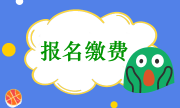 會(huì)計(jì)中級考試報(bào)名收費(fèi)是在網(wǎng)上繳費(fèi)嗎？