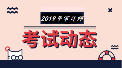 2019年審計師