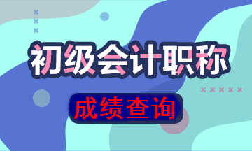 初級(jí)會(huì)計(jì)成績(jī)查詢(xún)