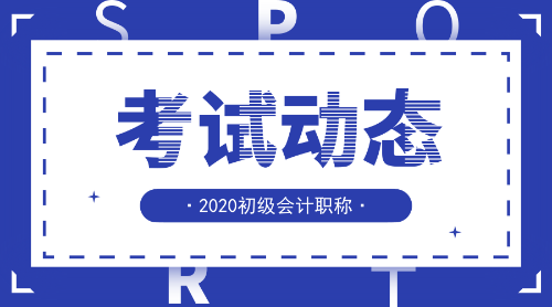 2020年初級(jí)會(huì)計(jì)職稱考試的題型是什么樣子的呢？