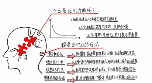 “注會知識點學完就忘怎么辦？如何能提高記憶力？