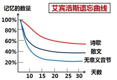 “注會知識點學完就忘怎么辦？如何能提高記憶力？