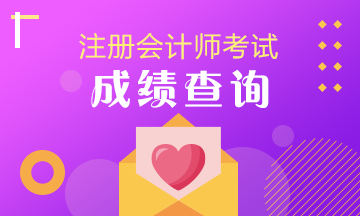 注會(huì)2019成績查詢