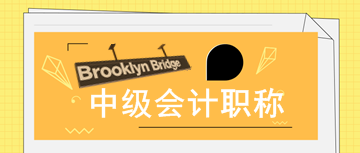 2020年中級(jí)會(huì)計(jì)職稱考試報(bào)考意見