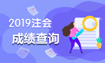 2019注會(huì)成績查詢