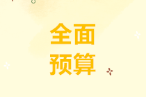 全面預(yù)算