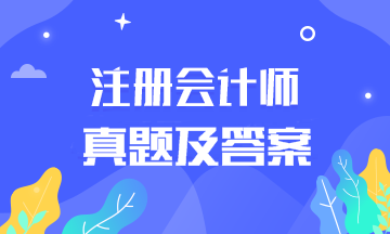 2019年注冊(cè)會(huì)計(jì)師會(huì)計(jì)考試試卷及答案