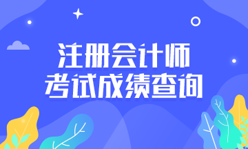 黑龍江齊齊哈爾注冊會計師成績查詢時間