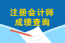 12月能查2019年注會(huì)成績(jī)嗎？