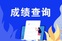 什么條件能申請2019注會成績復(fù)核？