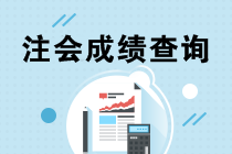 2019注會考試成績什么時候出來？