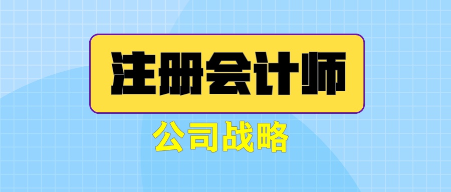 注冊(cè)會(huì)計(jì)師《公司戰(zhàn)略》練習(xí)題