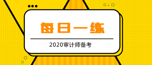 2020審計師備考