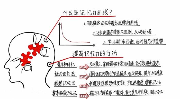 351記憶法 AICPA備考拒絕遺忘！