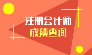 2019注會(huì)考試成績(jī)查詢(xún)