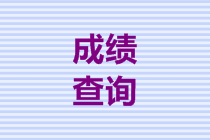 安徽2019高級會(huì)計(jì)師成績查詢步驟