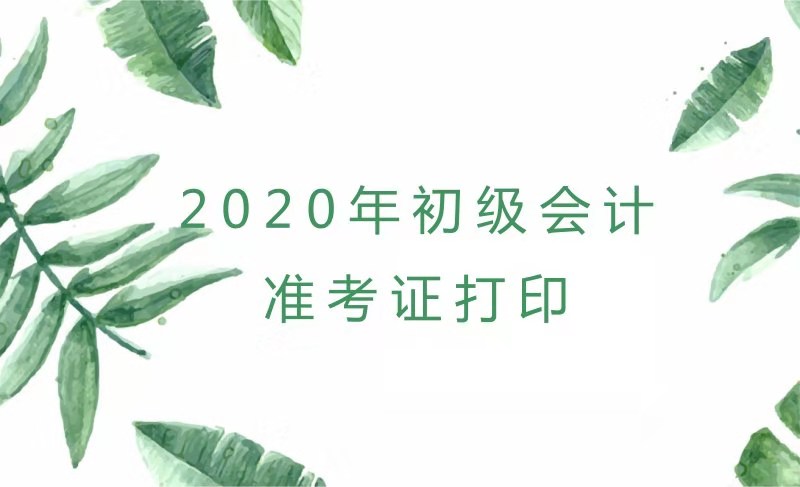 2020年河南初級(jí)會(huì)計(jì)考試準(zhǔn)考證打印時(shí)間你知道了嗎？