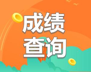 初級經(jīng)濟(jì)師2019成績查詢時間公布了嗎？