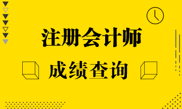 2019注冊會計(jì)師考試成績查詢