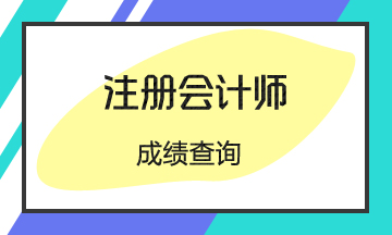 2019江西CPA考試成績查詢?nèi)肟谝验_通！