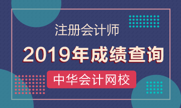 2019年江西景德鎮(zhèn)CPA考試成績查詢?nèi)肟陂_通了！