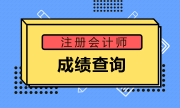 廣東陽江2019年注會(huì)成績(jī)查詢