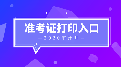 2020初級(jí)審計(jì)師準(zhǔn)考證打印入口