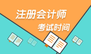 2020年廣東cpa專業(yè)階段考試時間