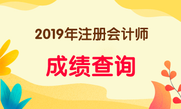 2019海南注冊會計師成績什么時間出？