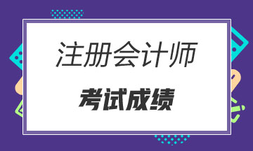 2019年青海西寧注冊會計師什么時候能查成績？