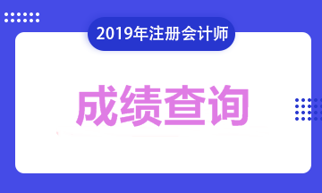 注冊會(huì)計(jì)師成績2019