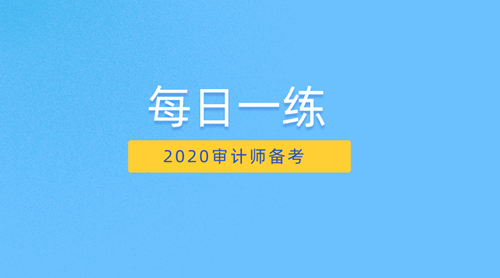 2020審計師備考