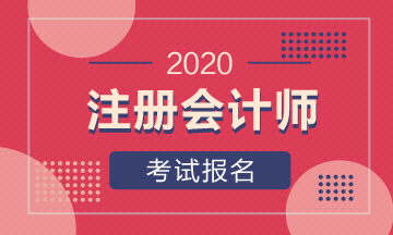 2020年廣東報(bào)名注冊(cè)會(huì)計(jì)師需要什么條件？